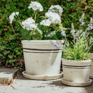 Homewares: Spanish Stripe Planters 3 Sizes