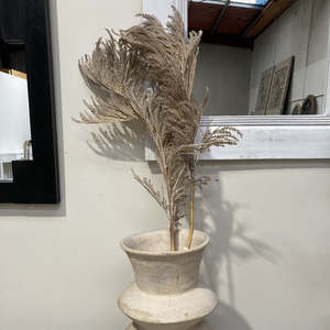 Tall Harvest Pampas Stem 1.1m