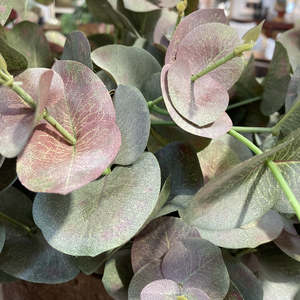 Homewares: Tall Pink Eucalyptus Spray 1.1m