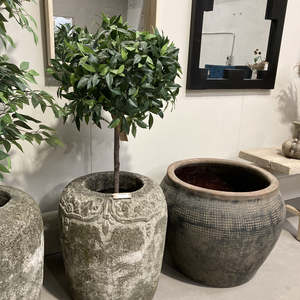 Homewares: Bay Tree 1.2m