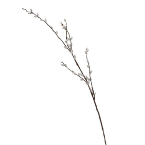 Homewares: Pussy Willow Branch 1.16m