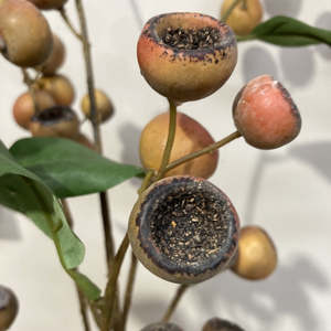 Homewares: Medlar Branch w. Nuts ORANGE 72cm