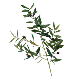 Homewares: Olive Branch 104cm