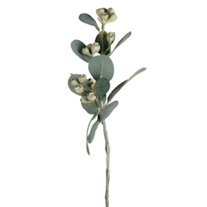 Homewares: Mini Eucalyptus Pod Spray 40cm