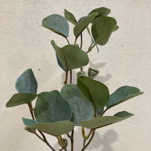 Silver Dollar Spray with nuts 60cm