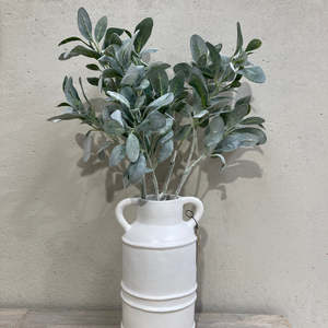 Lambs Ear Stem 75cm