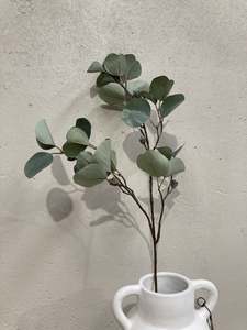 All Test: Silver Dollar Spray with  nuts 80CM
