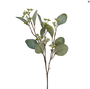 All Test: Eucalyptus Short Stem with Seeds 51cm