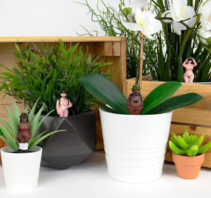 The Quirky One: Naked Ramblers Planters