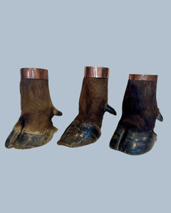 Taxidermy: Cape Buffalo Hooves