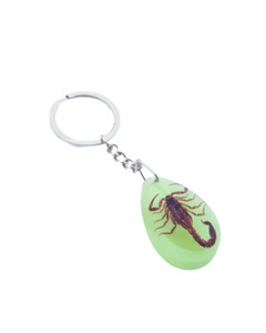 Scorpion Keychain