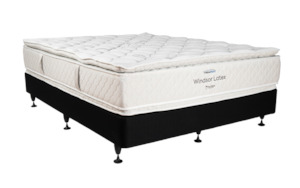 Backsense: Windsor Latex