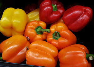 Capsicum Mixed 1kg Spray Free