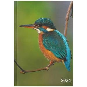 Diaries: 2026 A5 Diary Week to View - Birds