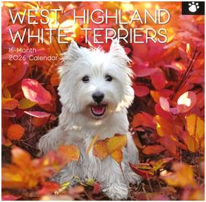 2026 Bc Calendars: 2026 Wall Calendar - West Highland White Terriers