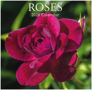 2026 Wall Calendar - Roses