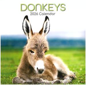 2026 Wall Calendar - Donkeys