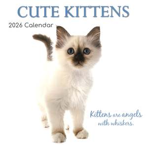 2026 Bc Calendars: 2026 Wall Calendar - Cute Kittens