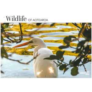 2026 Nz Calendars: 2026 Wall Calendar - Wildlife Of Aotearoa
