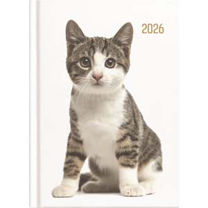 Collins A53 Diary - Cats & Dogs