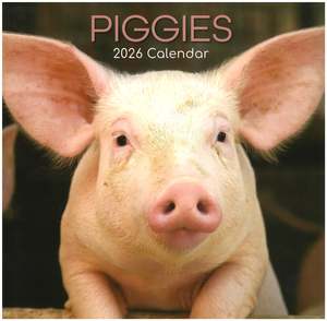 2026 Wall Calendar - Piggies