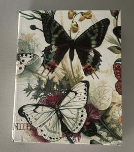 Butterflies Notebook - 1