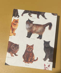 Cats - 1