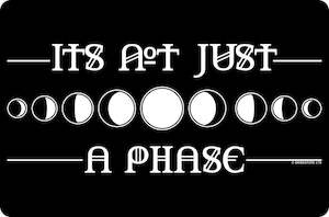 It's Not Just A Phase Small Tin Sign