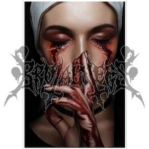 Poster Prints: Silent Order Poster Print