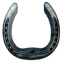 Natural Balance / Fitzwygram Shoes – Bryant Farrier Limited