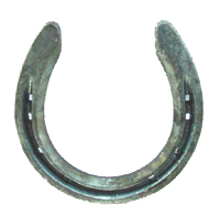 Pony Shoes – Bryant Farrier Limited