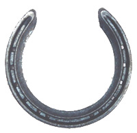 Malaysian Trainer Shoes – Bryant Farrier Limited