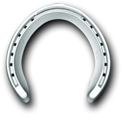 EC Queens Toe Clipped Front with ¼ Clipped Hind – Bryant Farrier Limited