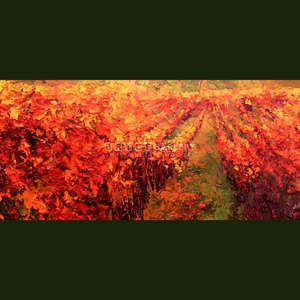 Autumn Vineyard