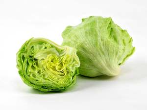 Locally Sourced Iceberg Lettuce