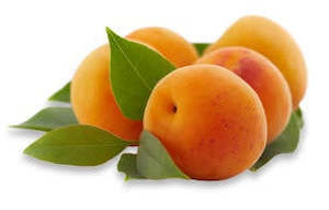Fruit Vegetables: Apricots Moorpark Tree Ripened