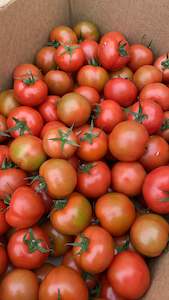 Vegetables: Kakanui Tomatoes Loose -