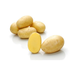 Organic Nadine Potatoes 1 kg