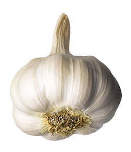 Vegetables: Garlic - Organic USA