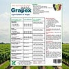 Products: Grapex