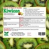 Products: Kiwicon