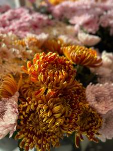 Florist Choice Pretty in Orange