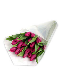 All Flowers: Pink Tulip Bouquet - Same Day Flower Delivery Upper Hutt & Wellington