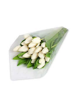 White Tulip Bouquet - Fresh Tulips Wellington | Bud Florists