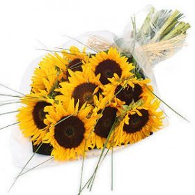 Sunflower Bouquet | Fresh Sunflowers Upper Hutt Wellington