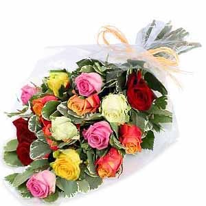 Mixed Colour Rose Bouquet | Fresh Roses Upper Hutt Wellington