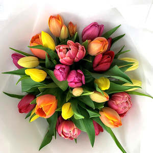 Mother's Day mixed Tulip bouquet