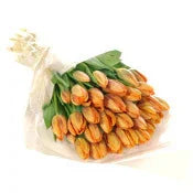 Orange Tulip Bouquet — Fresh Tulips Upper Hutt | Bud Florists