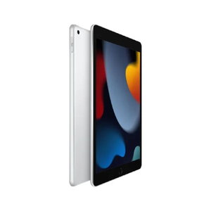 Products: Apple iPad – 10.2 inch – Wi-Fi 64GB – 9th Gen – Silver Budget