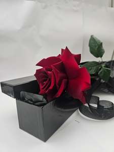 Single Rose